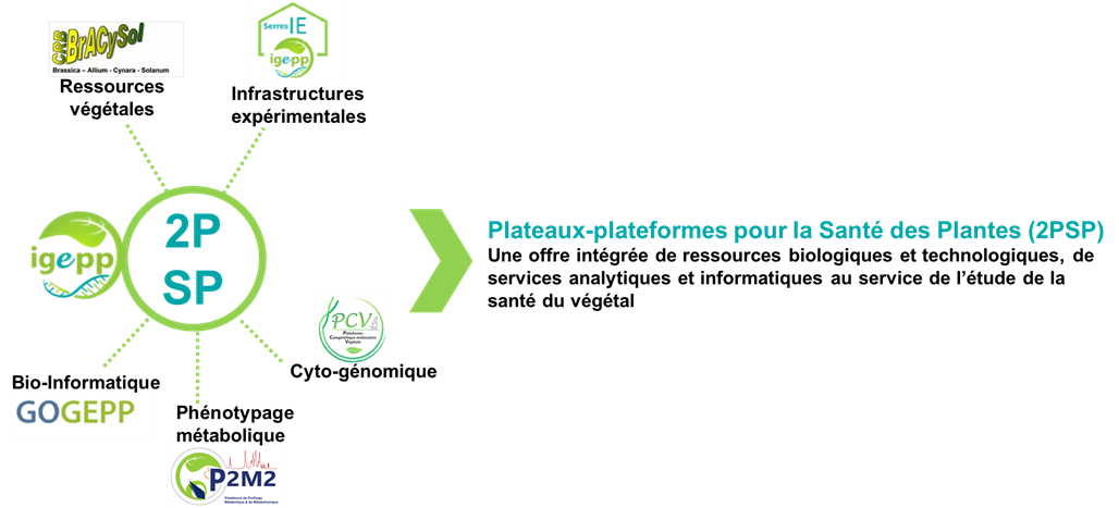 Plateaux-plateformes pour la Santé des Plantes