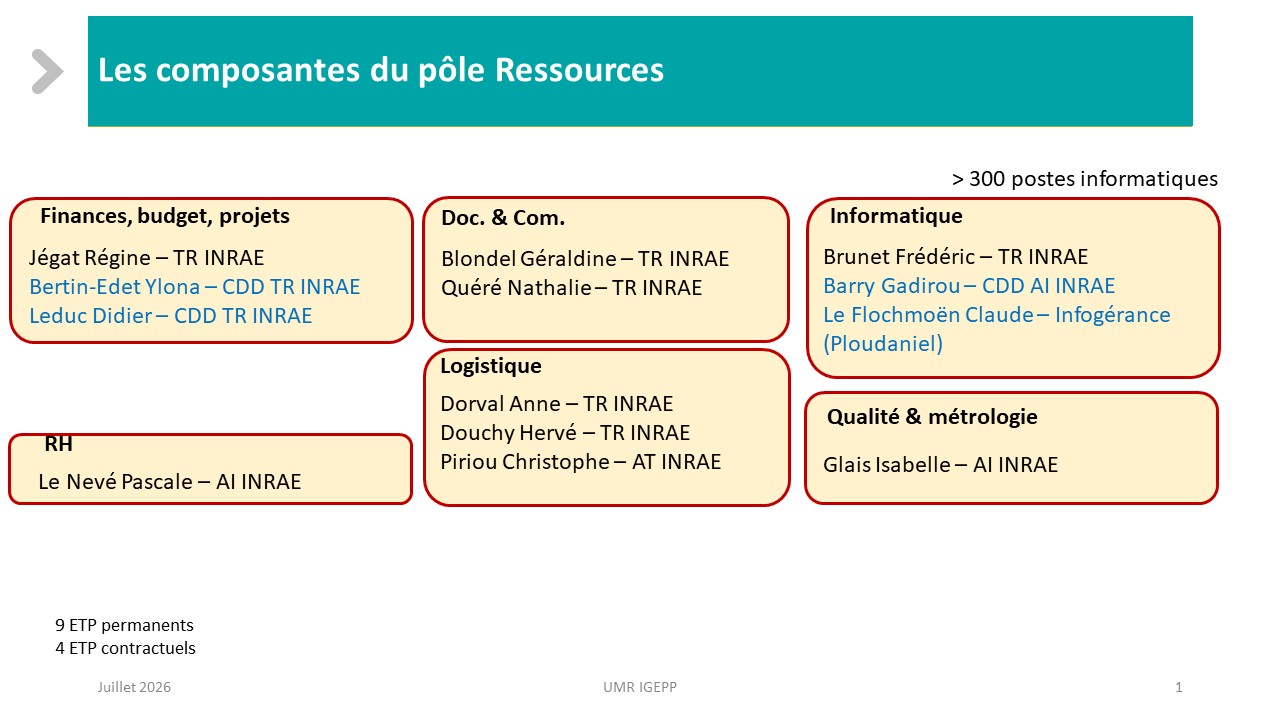 organigramme pole ressource juillet 26.JPG