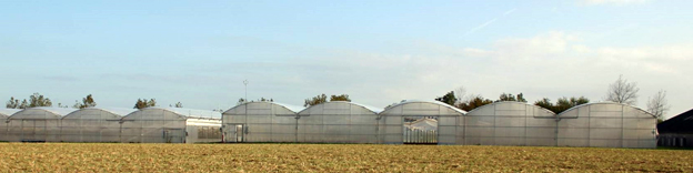 Serres Ploudaniel