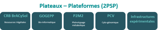 plateaux - plateformes
